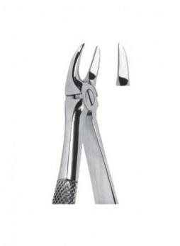 Extracting Forceps
